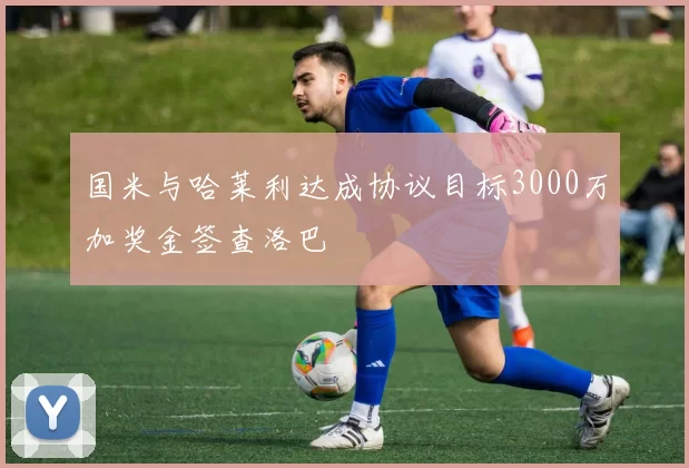 国米与哈莱利达成协议目标3000万加奖金签查洛巴
